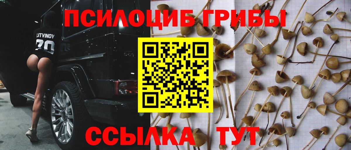 Галлюциногенные грибы прущие грибы  Вход с VPN  Псилоцибиновые грибы Cubensis  Воркута 